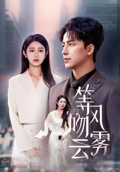 无声证词 亚洲电视剧免费观看